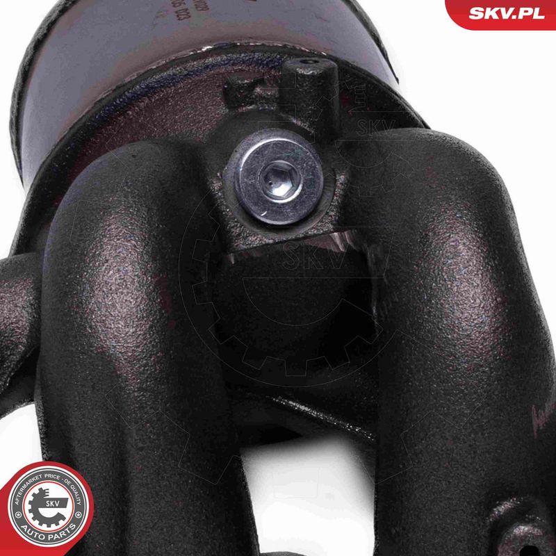 Katalüsaator, ESEN SKV 62SKV029
