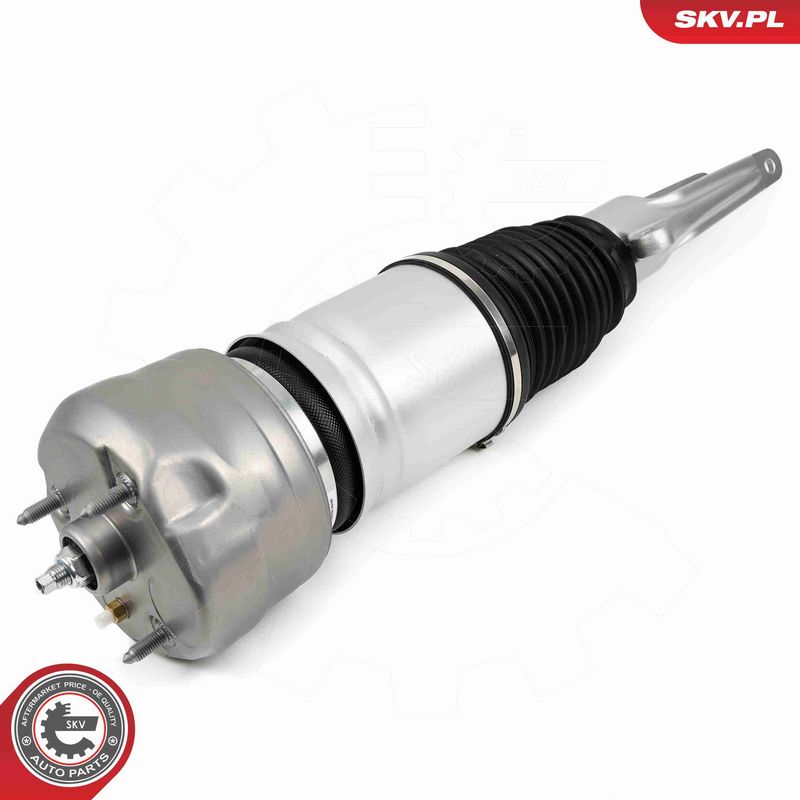 ESEN SKV 58SKV707 Air Suspension Strut