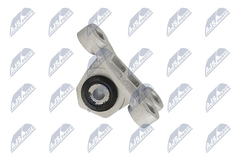 Paigutus, Mootor, NTY ZPS-CH-118