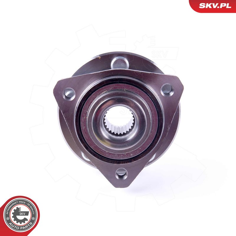 Rattalaagrikomplekt, ESEN SKV 29SKV424