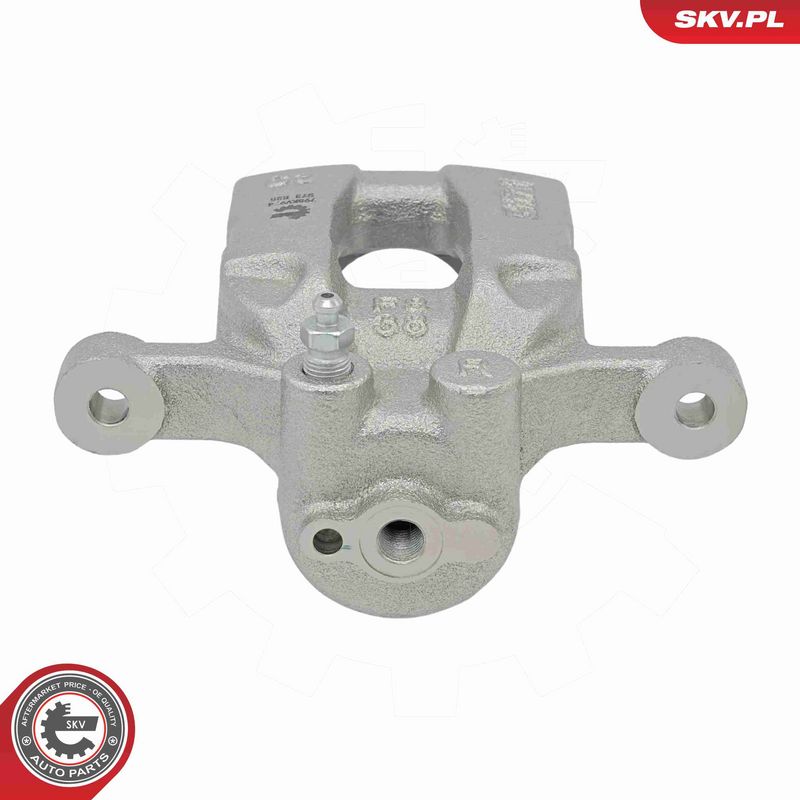 ESEN SKV 79SKV974 Brake Caliper