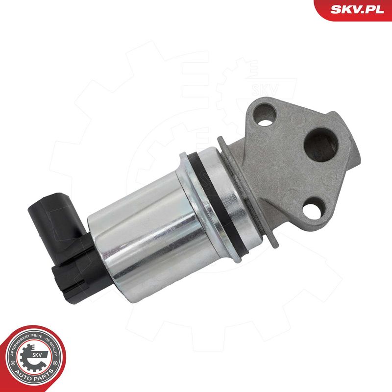 EGR-klapp, ESEN SKV 14SKV293