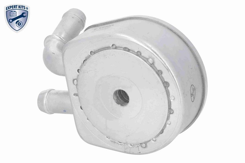ACKOJA A32-60-0002 Oil Cooler, engine oil