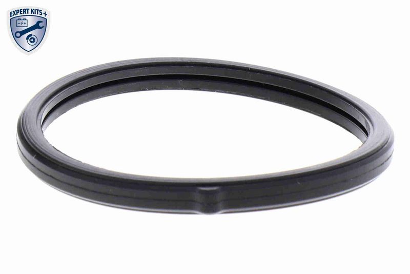 ACKOJA A52-99-0019 Thermostat, coolant