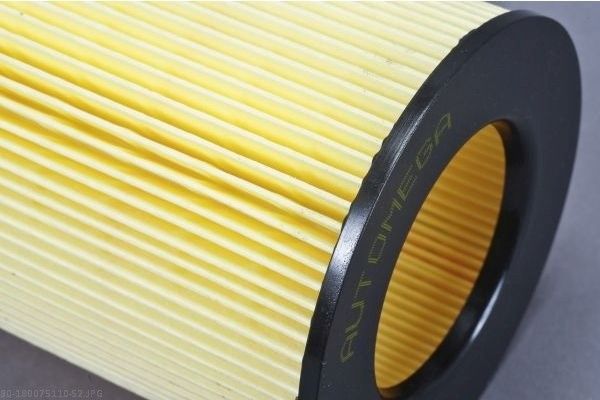 AUTOMEGA 180075110 Air Filter