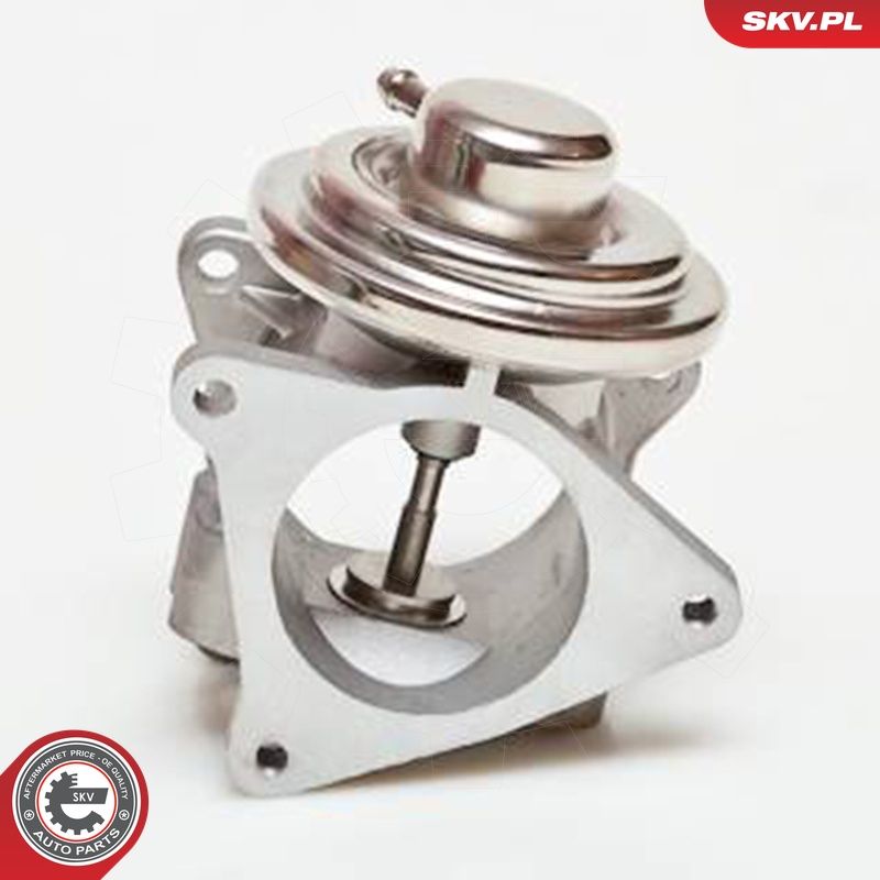 EGR-klapp, ESEN SKV 14SKV019