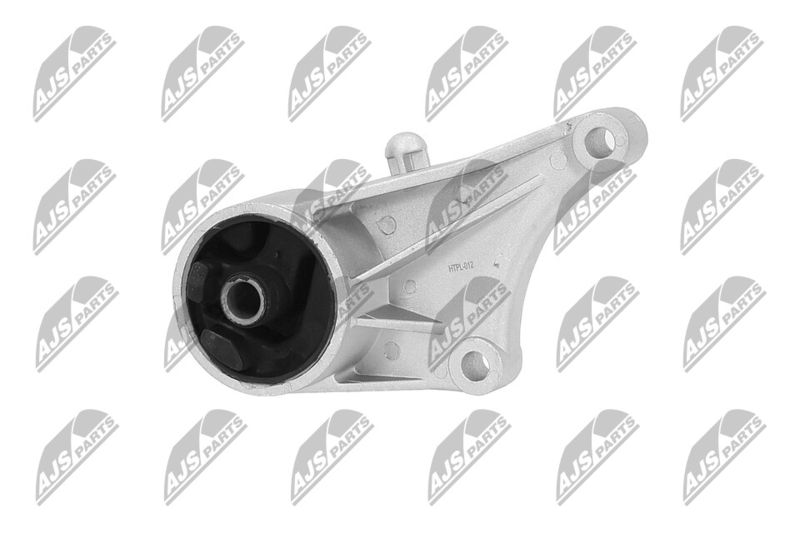 Paigutus, Mootor, NTY ZPS-PL-012