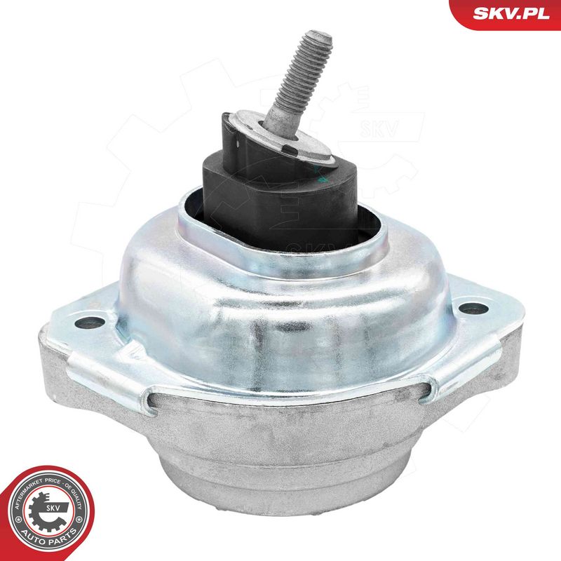 Paigutus, Mootor, ESEN SKV 75SKV165