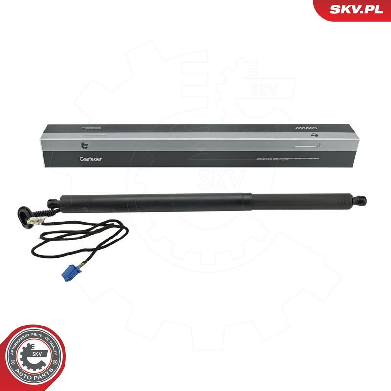Elektrimootor, tagaluuk, ESEN SKV 52SKV883