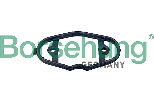Borsehung B12973 - Gasket, cylinder head cover