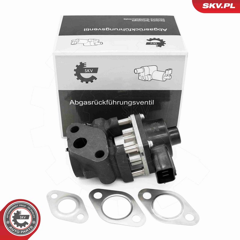 ESEN SKV 14SKV260 - EGR Valve
