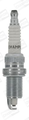 OE114-T10_1953944.JPG