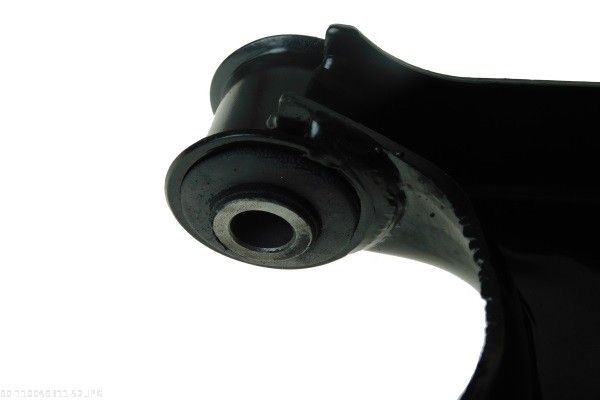 AUTOMEGA 110049311 Control/Trailing Arm, wheel suspension