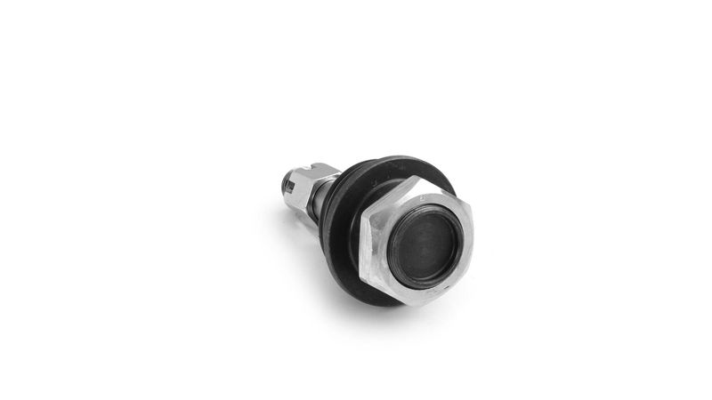 SKF VKDS 812008 Šarnyras / girgždukas