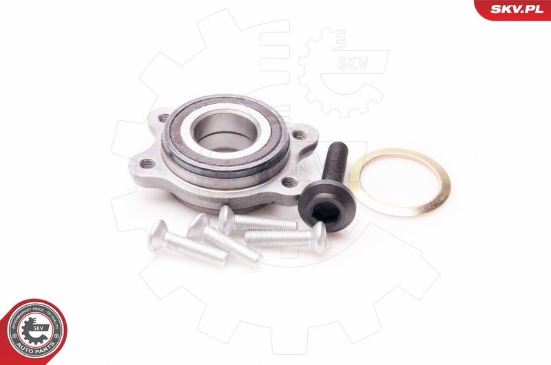 ESEN SKV 29SKV095 Wheel Bearing Kit