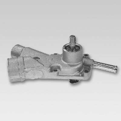 P852.JPG