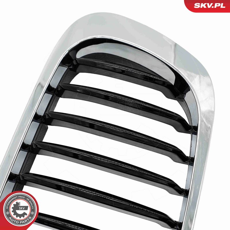 ESEN SKV 66SKV056 Radiator Grille