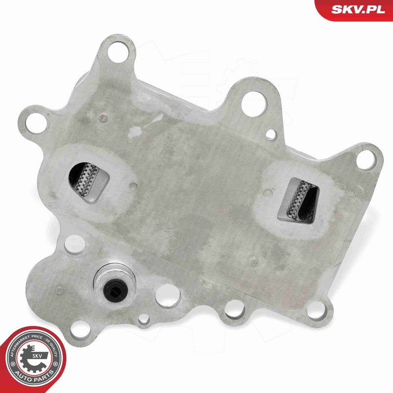 ESEN SKV 31SKV350 - Oil Cooler, engine oil