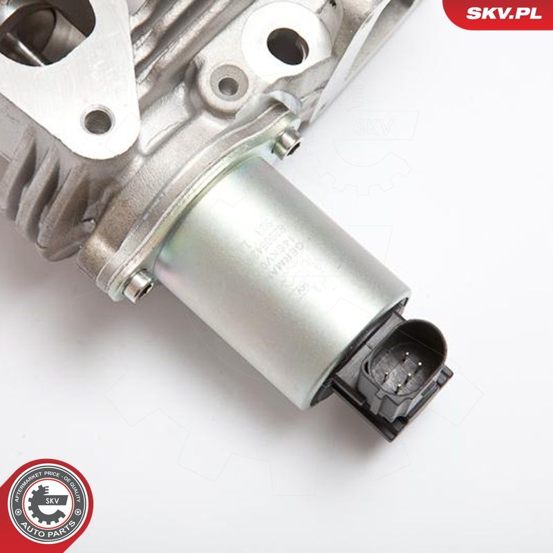 EGR-klapp, ESEN SKV 14SKV036