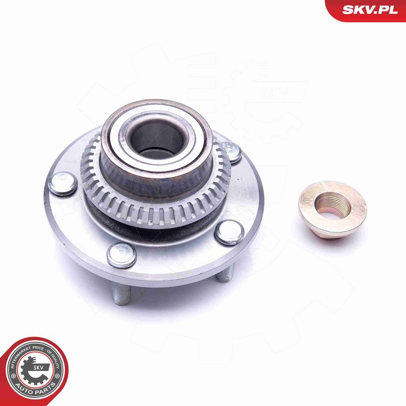ESEN SKV 29SKV193 Wheel Bearing Kit