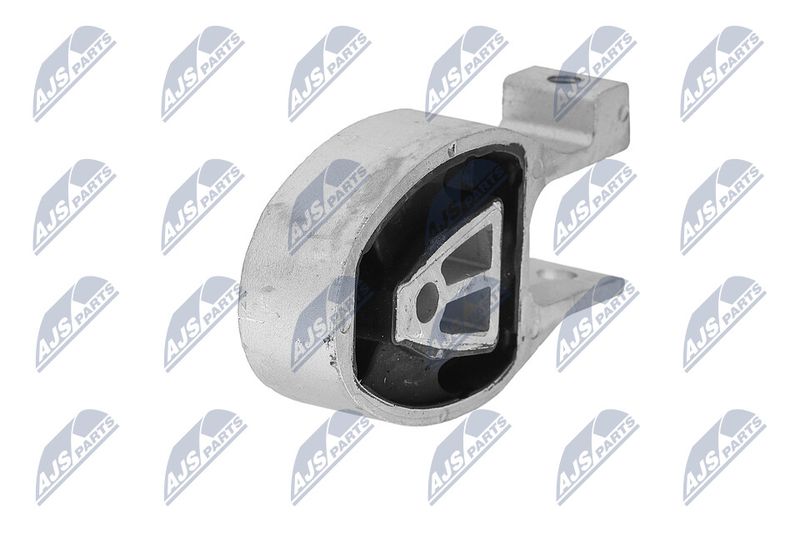 Paigutus, Mootor, NTY ZPS-FR-010