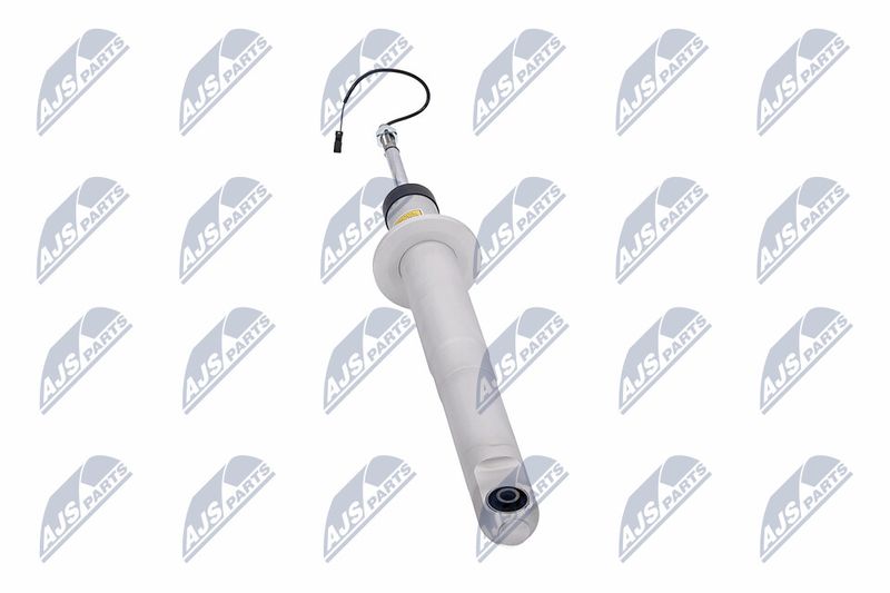 Amort, NTY A-MA-003