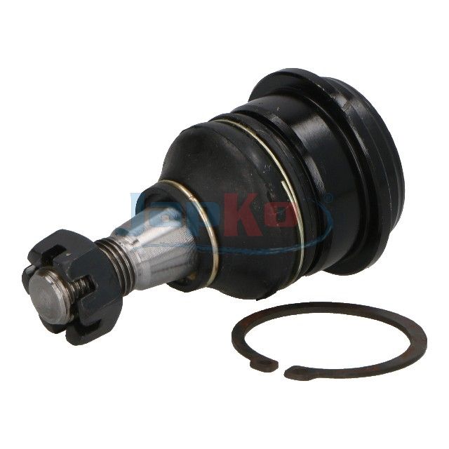 Kande-, juhtliigend, JAPKO...