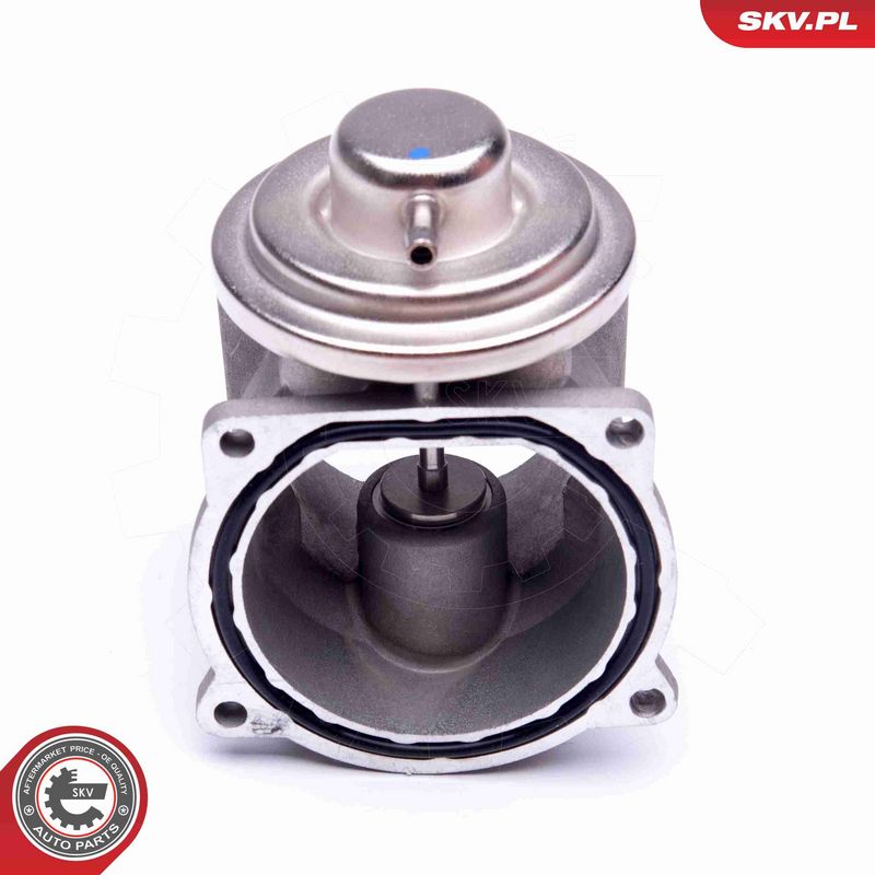 ESEN SKV 14SKV108 EGR Valve