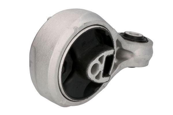 REINHOCH RH11-3081 Mounting, engine