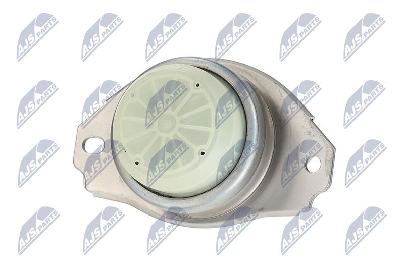 Paigutus, Mootor, NTY ZPS-LR-020