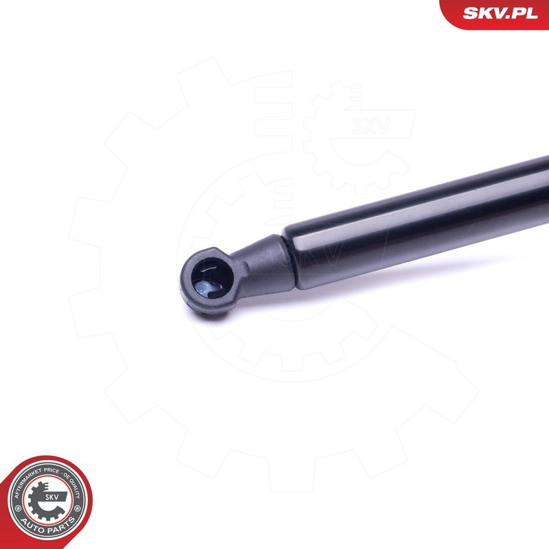 Gaasivedru, pagasi-, veoruum, ESEN SKV 52SKV548