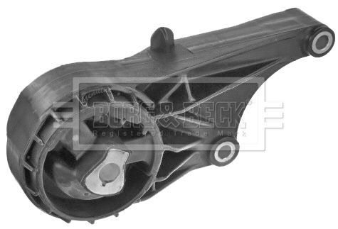 BEM4304_1137147.JPG