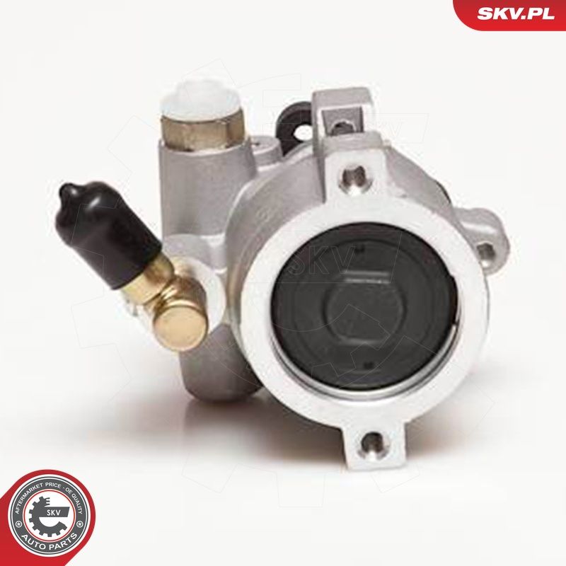 Hüdraulikapump, roolimine, ESEN SKV 10SKV055