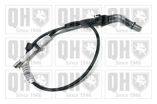 QH_QTC4184.JPG