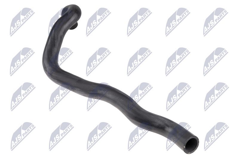 cpp-vw-056_2-wm.JPG
