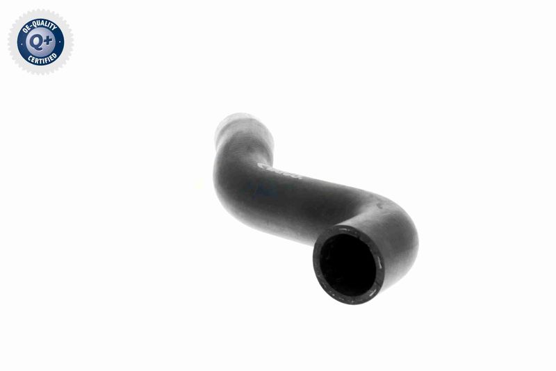 VAICO V30-1619 Radiator Hose