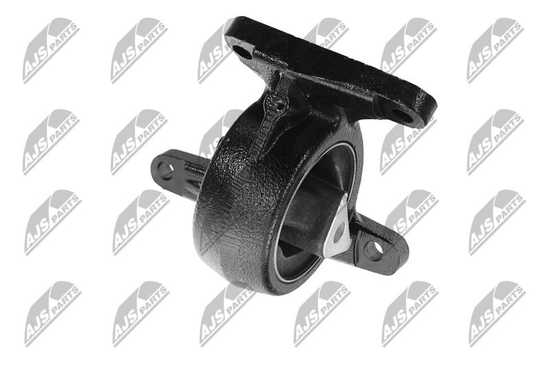 Paigutus, Mootor, NTY ZPS-CH-088