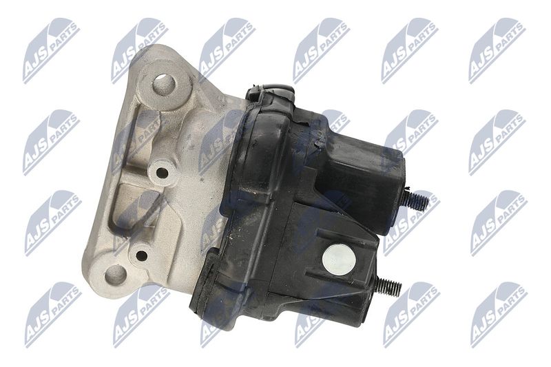 Paigutus, Mootor, NTY ZPS-CH-019