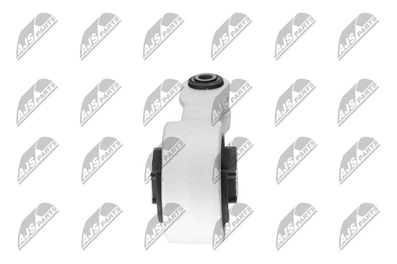 Paigutus, Mootor, NTY ZPS-CH-109