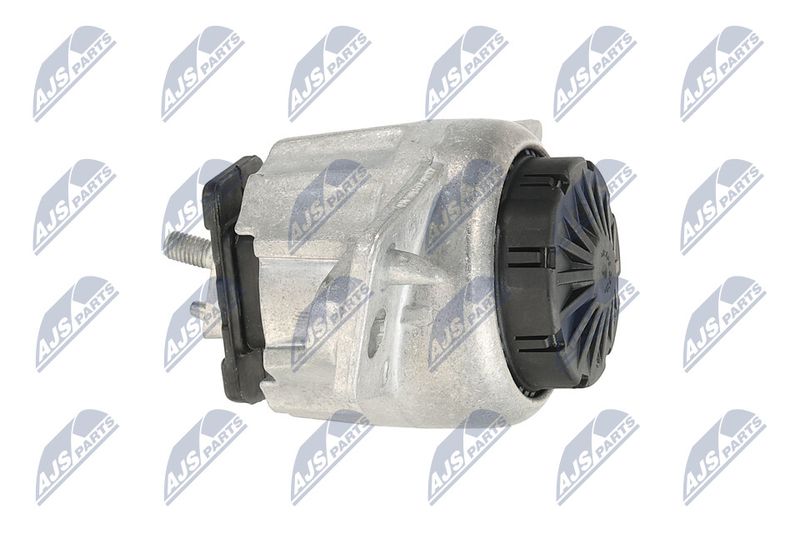 Paigutus, Mootor, NTY ZPS-LR-015