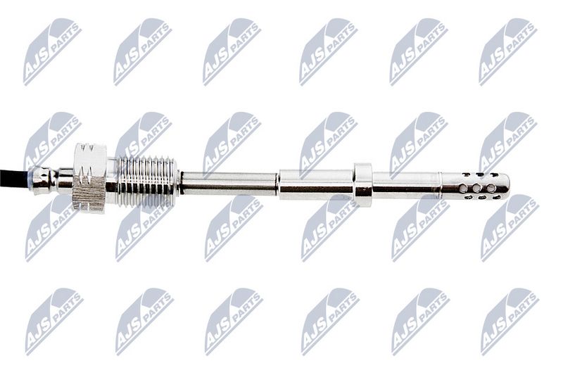 egt-vw-003_2-wm.JPG