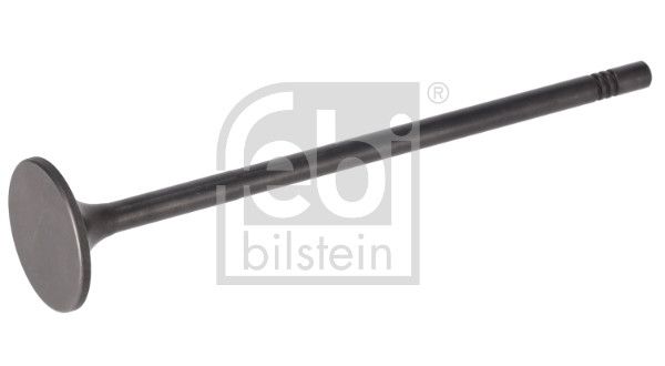 inlaatklep (42x8x192mm) past: RVI C, K, KERAX, MAGNUM, T  VOLVO 9700, 9900, B13, FH, FH II, FH III, FM, FM II, FM III, FMX, FMX II, FMX III D13A360-DXi13520 09.05-