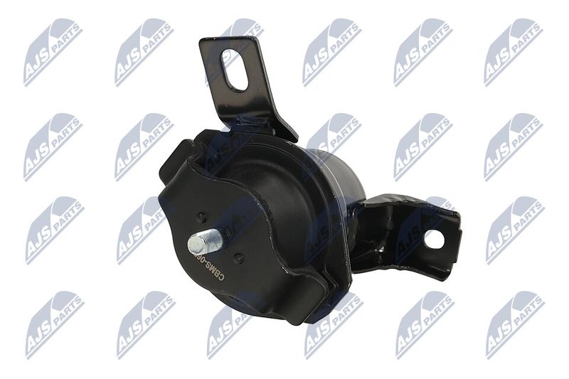Paigutus, Mootor, NTY ZPS-MS-069