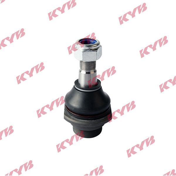KYB-KBJ4052.JPG