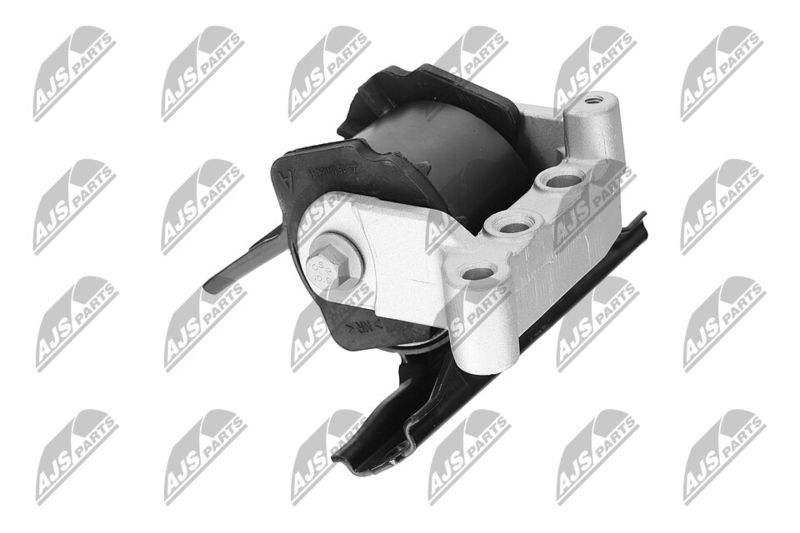 Paigutus, Mootor, NTY ZPS-CH-071