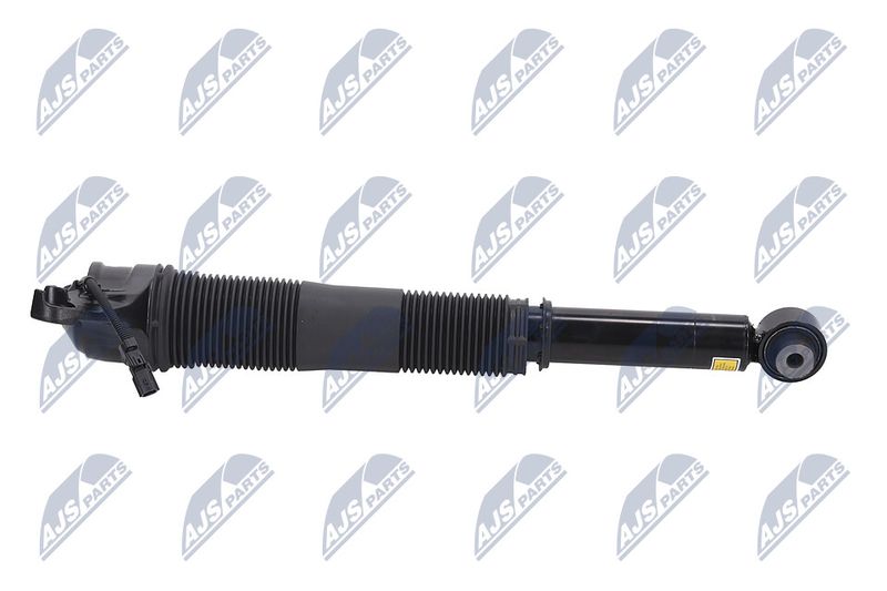 Amort, NTY A-LR-022