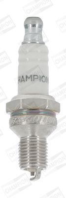 CCH940_1953671.JPG