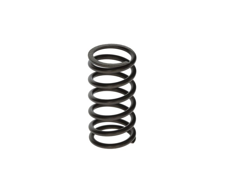 BOSCH F00N201853 Spring