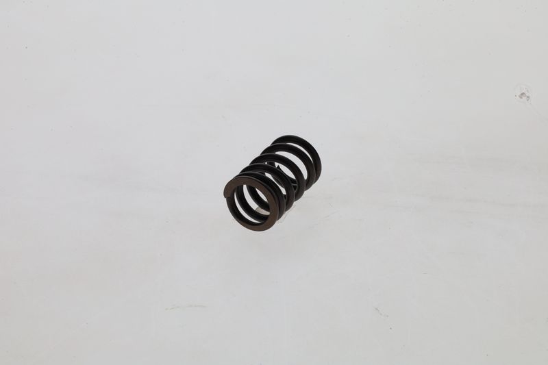 Arc 1 424 619 025 BOSCH