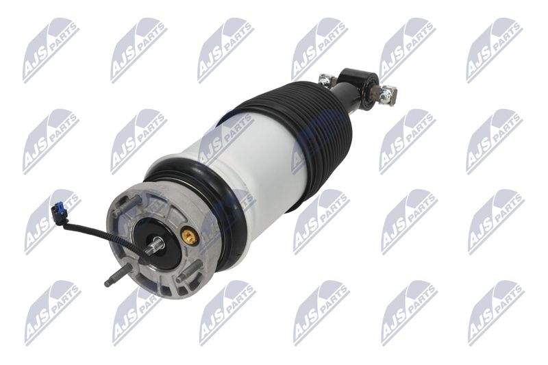 Amort, NTY A-CH-098